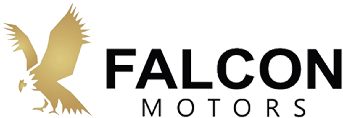 FALCON MOTORS LLC